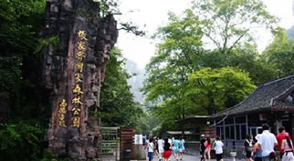 張家界國家森林公園